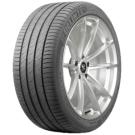 DS2 225/55 R17 101W